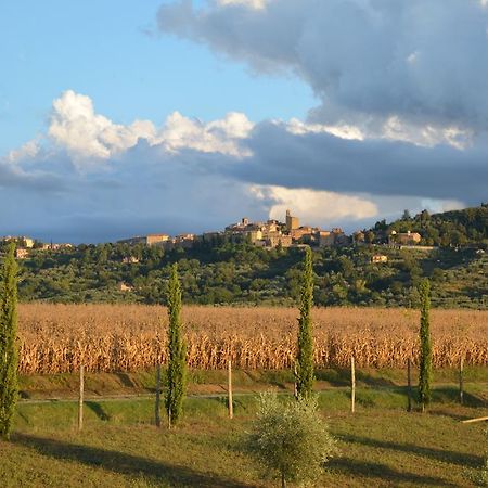 Podere Molinaccio 파니칼레 객실 사진