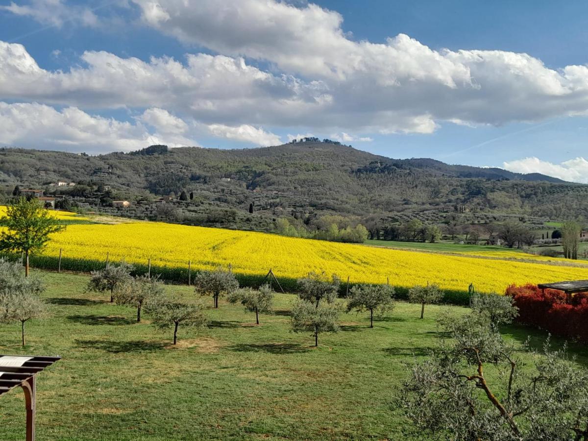 Podere Molinaccio 파니칼레 외부 사진