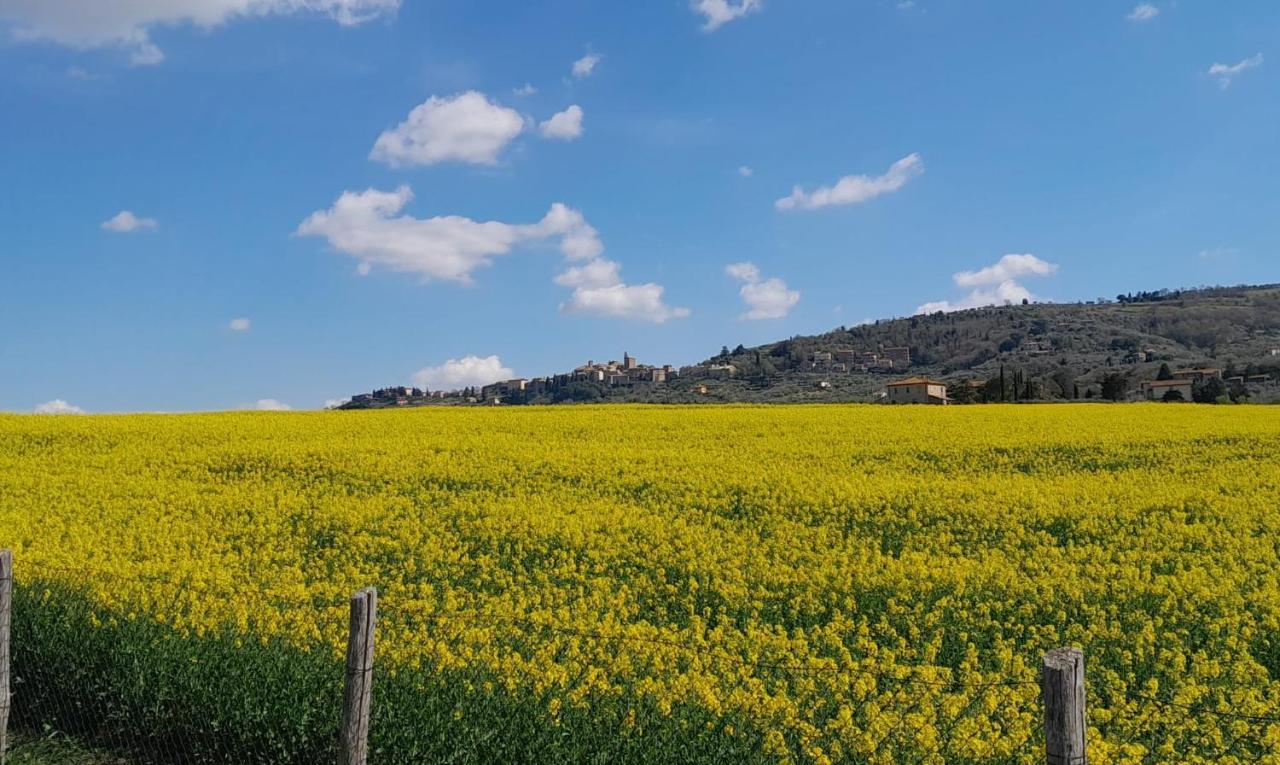 Podere Molinaccio 파니칼레 외부 사진