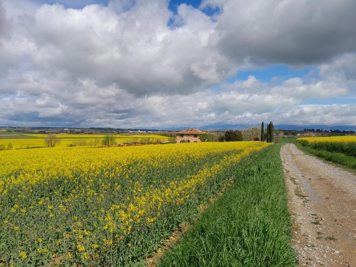 Podere Molinaccio 파니칼레 외부 사진