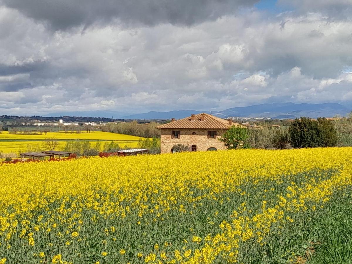 Podere Molinaccio 파니칼레 외부 사진