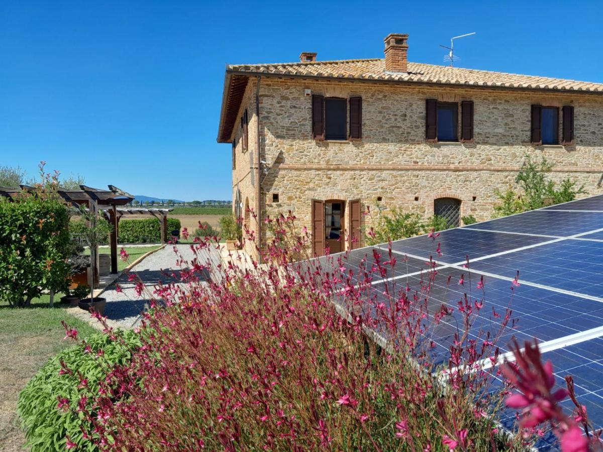 Podere Molinaccio 파니칼레 외부 사진