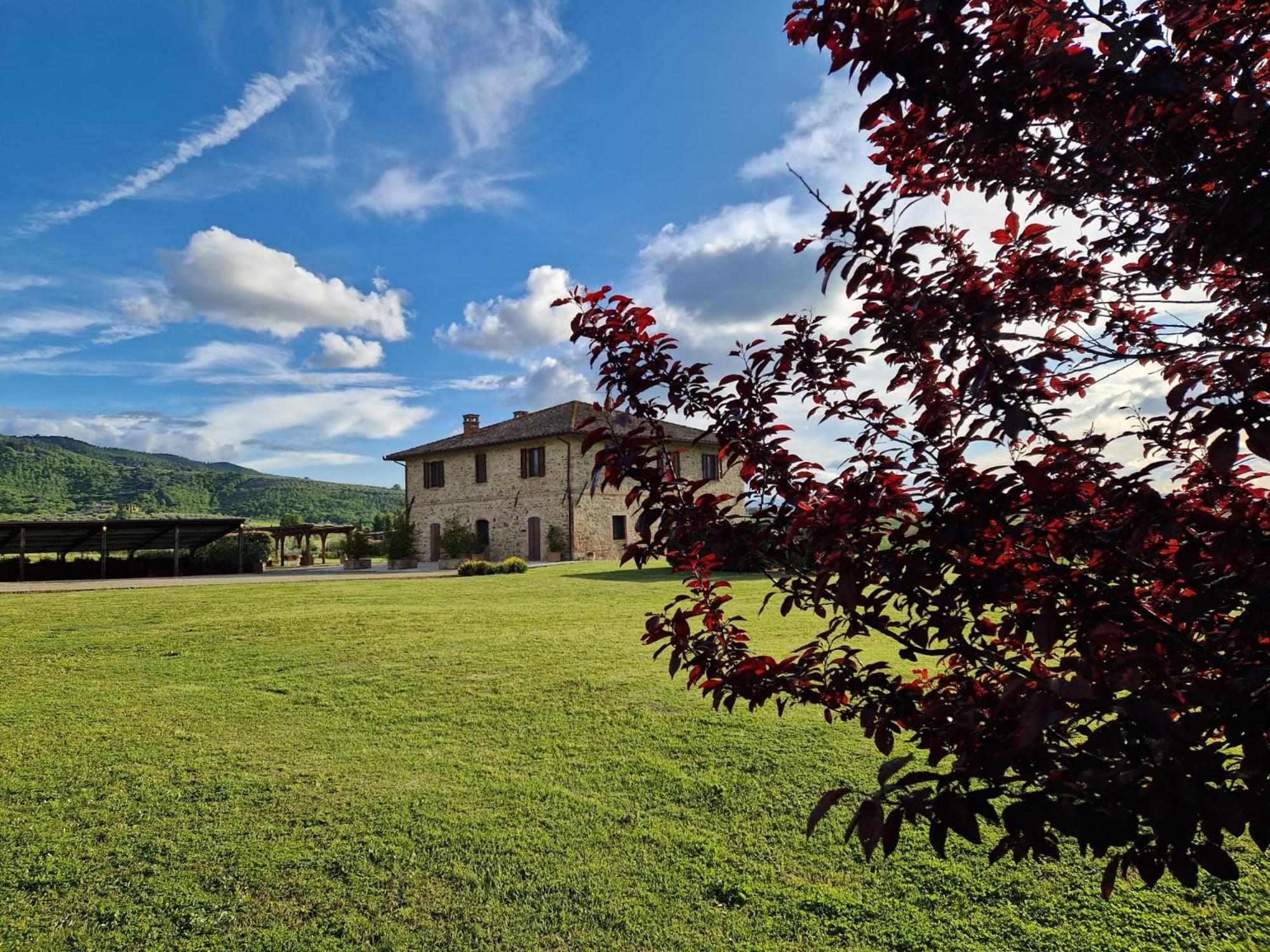 Podere Molinaccio 파니칼레 외부 사진