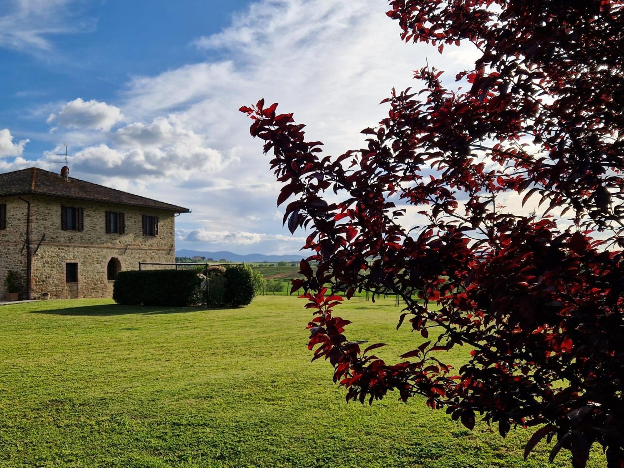 Podere Molinaccio 파니칼레 외부 사진