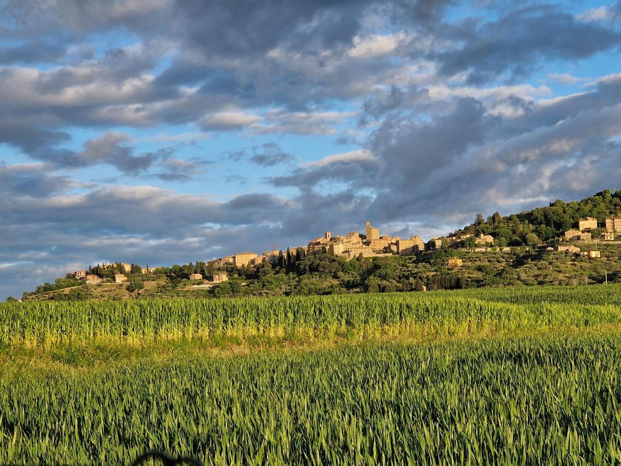 Podere Molinaccio 파니칼레 객실 사진