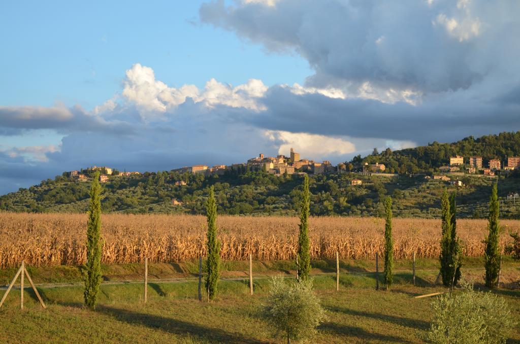 Podere Molinaccio 파니칼레 객실 사진